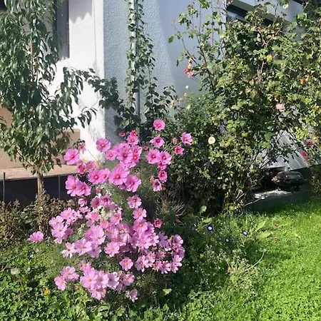 Freistehendes Haus Fuegen Fuegenberg